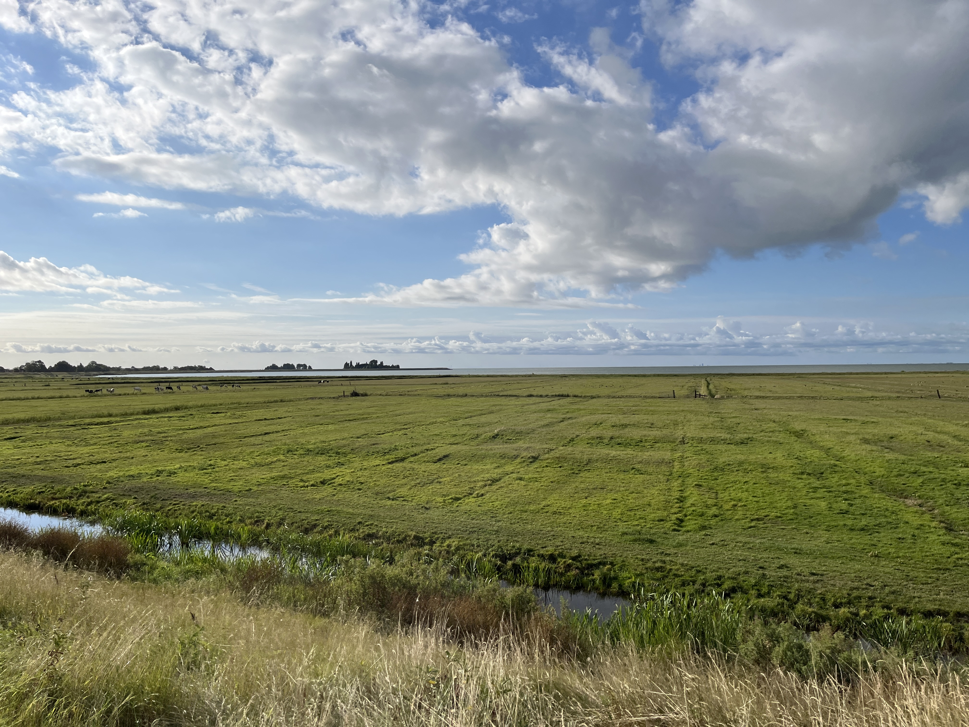 Ijsselmeer Bild